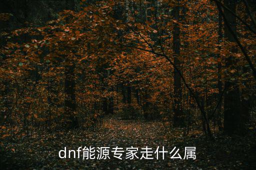 dnf源能专家打什么属性，DNF源能专家艾肯套属性如何选择