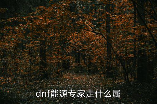 dnf源能专家打什么属性，DNF源能专家艾肯套属性如何选择