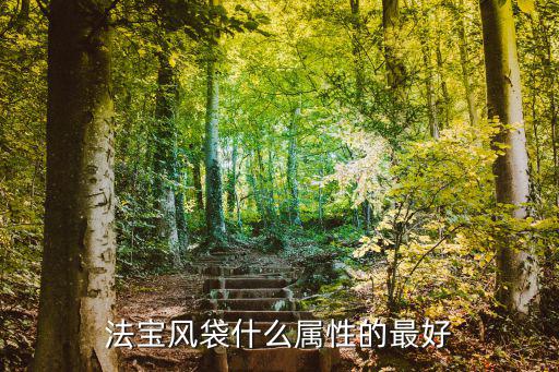 法宝风袋什么属性的最好