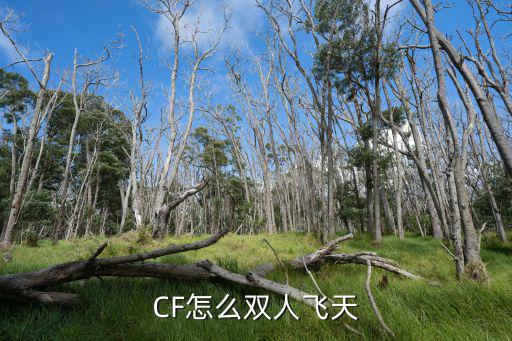 cf手游双人飞怎么飞，穿越火线里怎样双飞