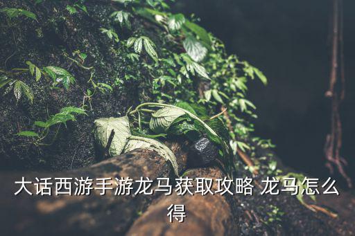 大话西游手游龙马获取攻略 龙马怎么得