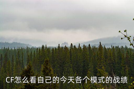CF怎么看自己的今天各个模式的战绩