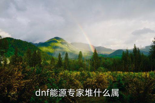 dnf能源专家堆什么属