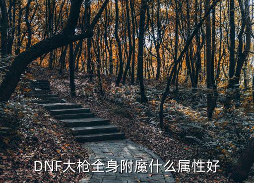 DNF大枪全身附魔什么属性好