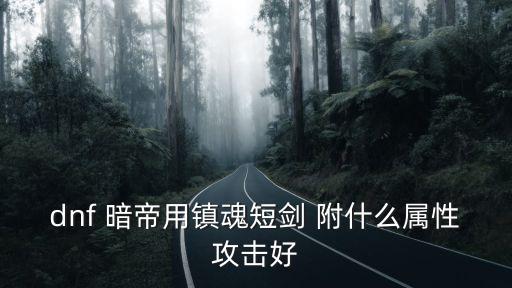 dnf 暗帝用镇魂短剑 附什么属性攻击好