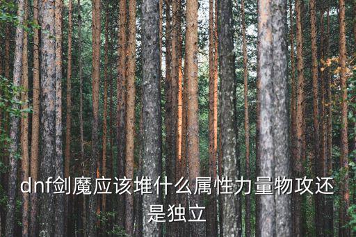 dnf剑魔应该堆什么属性力量物攻还是独立