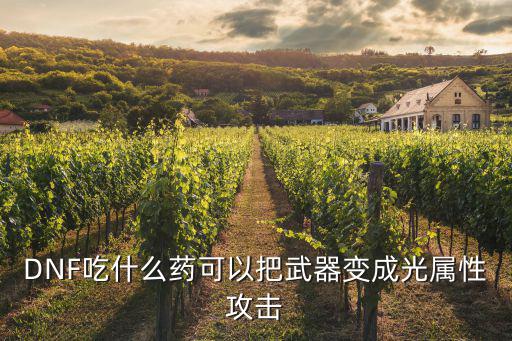 DNF吃什么药可以把武器变成光属性攻击