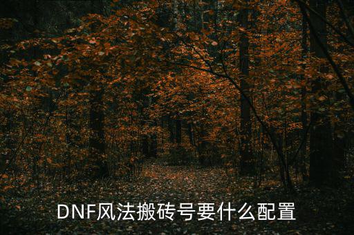 DNF风法搬砖号要什么配置