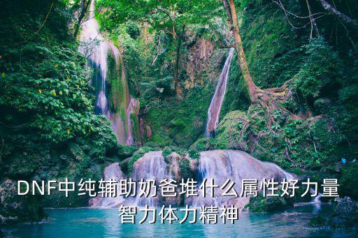 DNF中纯辅助奶爸堆什么属性好力量智力体力精神