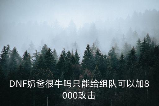 DNF奶爸很牛吗只能给组队可以加8000攻击