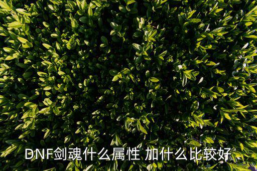 dnf剑魂徽章什么属性好，DNF剑魂什么属性好