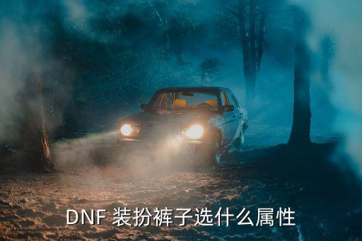 DNF 装扮裤子选什么属性