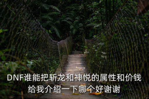 dnf神悦什么属性好，DNF谁能把斩龙和神悦的属性和价钱给我介绍一下哪个好谢谢