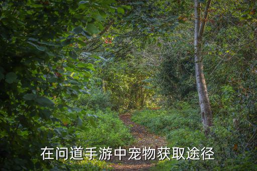 问道手游灵宝宝怎么刷，问道手游中如何获得宝宝