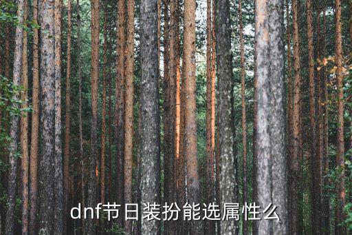 dnf节日时装加什么属性，dnf瞎子节日时装都加啥属性