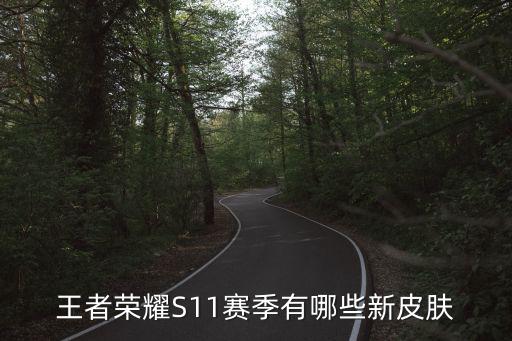 王者荣耀S11赛季有哪些新皮肤
