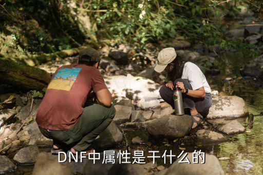 dnf属性开发是什么意思，DNF中属性是干什么的