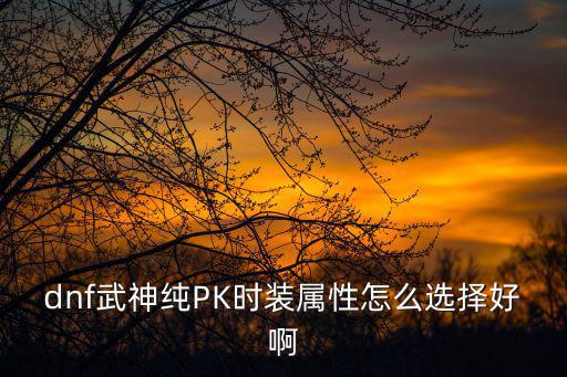 dnf武神纯PK时装属性怎么选择好啊