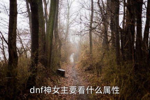 dnf神女主要看什么属性
