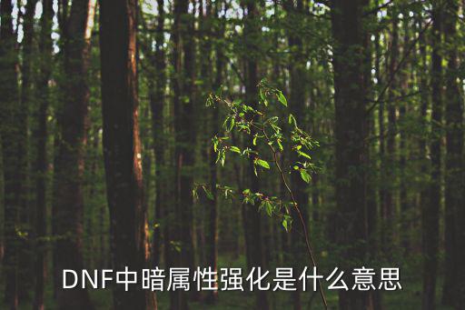 DNF中暗属性强化是什么意思