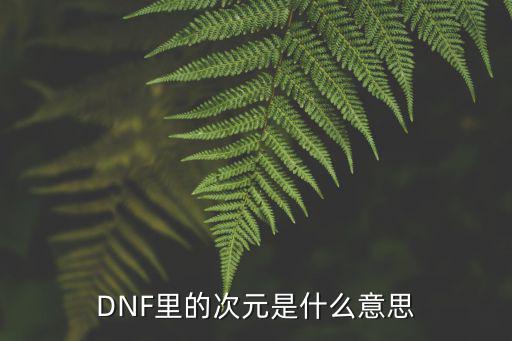 DNF里的次元是什么意思