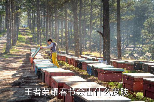 王者荣耀春节会出什么皮肤