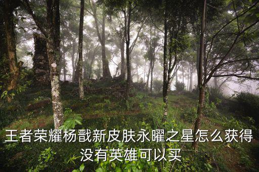 王者荣耀杨戬新皮肤永曜之星怎么获得 没有英雄可以买