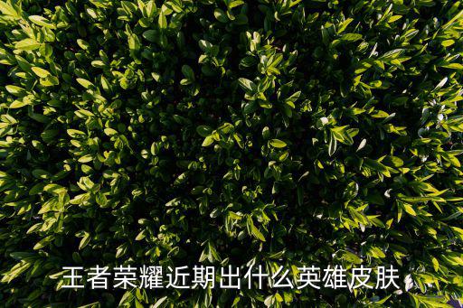 王者荣耀黄忠新皮肤是什么，王者荣耀有什么新人物和新皮肤要出来