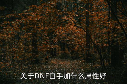 关于DNF白手加什么属性好