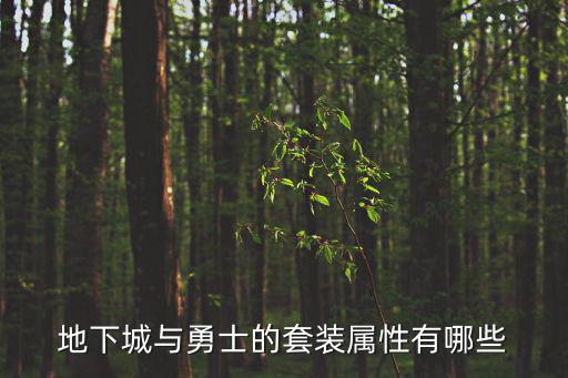 地下城与勇士的套装属性有哪些