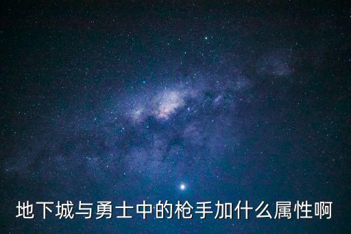 地下城与勇士中的枪手加什么属性啊