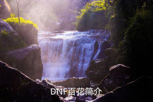 dnf百花增幅什么属性，DNF百花天空套加什么属性