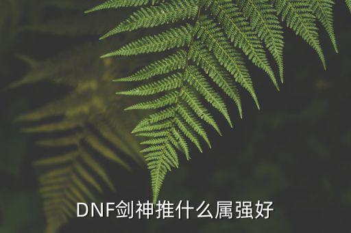 dnf剑神推什么属性，dnf剑神推什么属性高强好