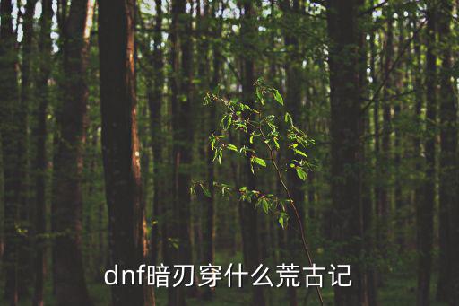 dnf暗刃穿什么荒古记