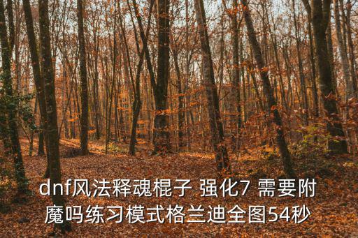 dnf风法释魂棍子 强化7 需要附魔吗练习模式格兰迪全图54秒