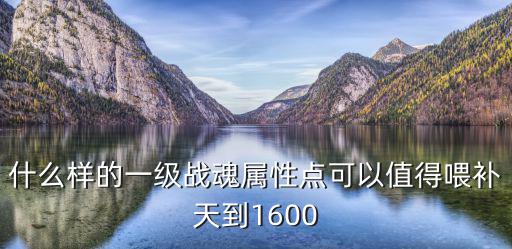 什么样的一级战魂属性点可以值得喂补天到1600