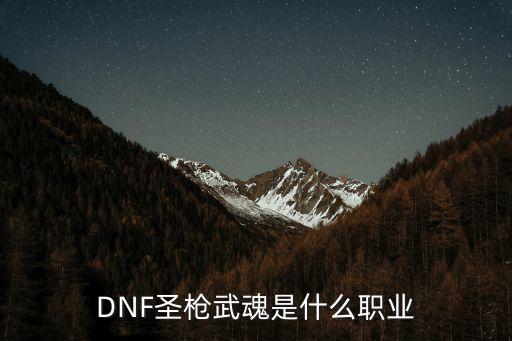 dnf圣枪是什么属性攻击，DNF圣枪武魂附魔什么好 圣枪武魂附魔物理攻击