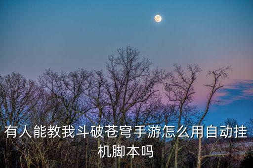 下载了手游怎么用脚本挂机，怎么用QQ飞车手游脚本挂机