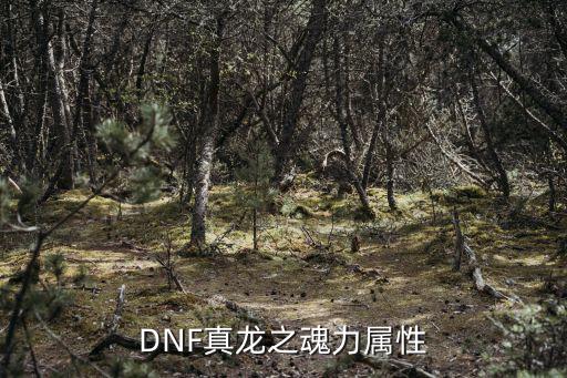 dnf真龙什么属性攻击，DNF真龙之魂力属性