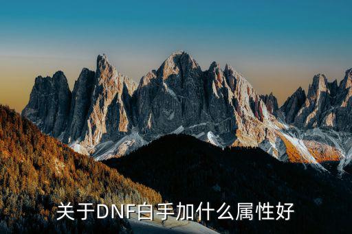 关于DNF白手加什么属性好