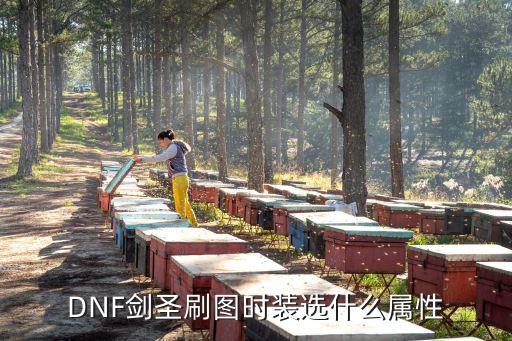 DNF剑圣刷图时装选什么属性