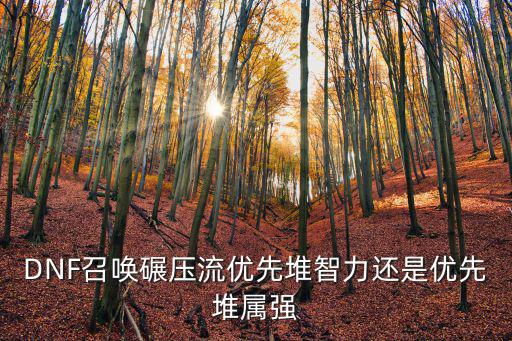 DNF召唤碾压流优先堆智力还是优先堆属强