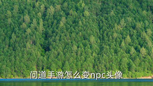 问道手游怎么变npc头像