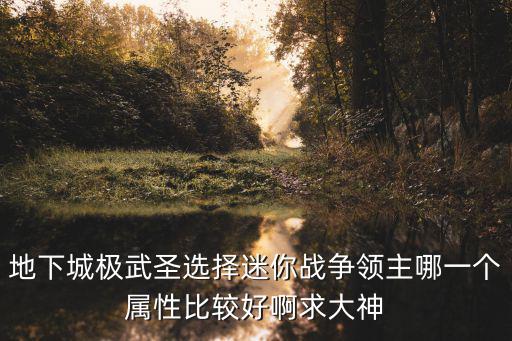 地下城极武圣选择迷你战争领主哪一个属性比较好啊求大神
