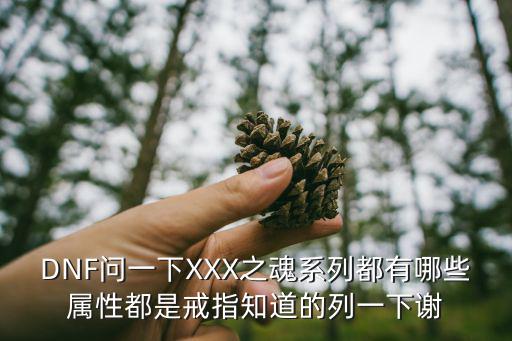 DNF问一下XXX之魂系列都有哪些属性都是戒指知道的列一下谢