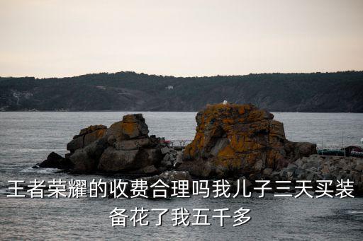 王者荣耀的收费合理吗我儿子三天买装备花了我五千多