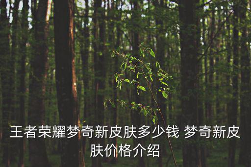 王者荣耀梦奇新皮肤多少钱 梦奇新皮肤价格介绍