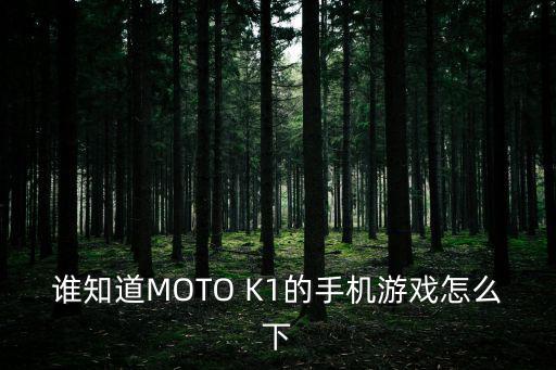 谁知道MOTO K1的手机游戏怎么下