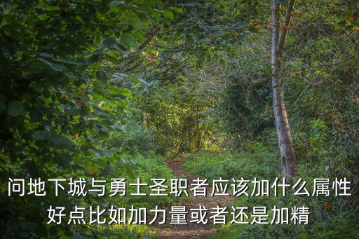 问地下城与勇士圣职者应该加什么属性好点比如加力量或者还是加精
