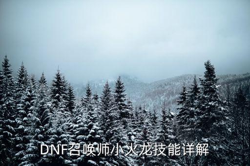 dnf召唤火龙是什么属性，DNF召唤师小火龙技能详解